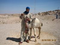 El Jerid.  Berberi poiss kaameliga.   - pics/2006/14548_16_t.jpg