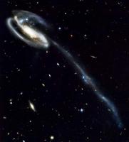 Foto:<br>  Tadpole’i galaktika. - pics/2007/16511_1_t.jpg