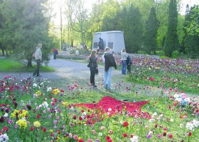 Pilt kalmistu vene osast, kus nüüd asub pronkssõdur. Foto: Viido Polikarpus - pics/2008/05/19865_2_t.jpg