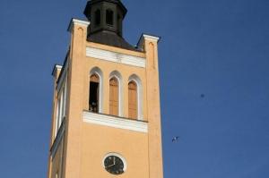 Ka Jaani kiriku tornis pesitses telemees. Fotod: Riina Kindlam - pics/2009/06/24284_9_t.jpg
