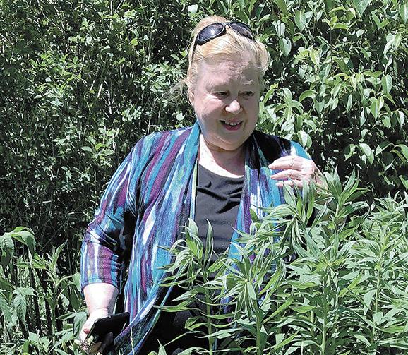 SIRJE KIIN, an Estonian author who lives in Madison, found solace in gardening during the pandemic, which changed her lifestyle. She jokingly said she now lives like a monk or nun. Photo by Mary Gales Askren  - pics/2021/07/58448_001.jpg