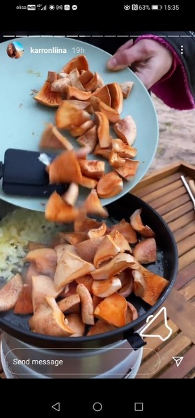 ,,Seenepuhkusel“ viibiv toidukirjutaja ja -koolitaja kokk Liina Karron valmistamas seenekastet Ristna rannas Hiiumaal 15. septembri õhtul. Porgandriisikaid praeb ta matkapliidil parajasti võis koos sibulaga. Porgandriisika ladinakeelne nimi on Lactarius deliciosus (piima andev ja maitsev), inglise saffron milkcap või red pine mushroom, Põhja-Ameerikas ka orange latex milky. Foto: kuvatõmmis @karronliina Instagrami loost. - pics/2021/09/58617_003_t.jpg