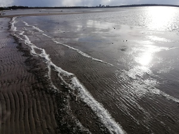 Karge ilm trikitab nii, et ei liigu. Lained on tardunud. On 30. märts Stroomi rannas. - pics/2022/04/59129_001_t.jpg