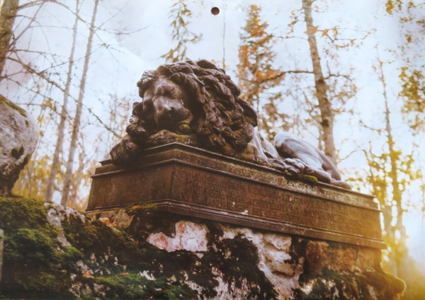 PORIkuu ehk REHEkuu ehk oktoobri foto Viljandi valla seinakalendris on uhke uinuv lõvi, mille sarnaseid eesti metsades tihti ei kohta. Tegu on KÄRSTNA ehk ANREPI LÕVIga. Viljandi vallas Kärstna mõisa kalmistul asuv mälestusmärk on pühendatud Preisi-Prantsuse sõjas Mohrungeni lahingus (Morąg, Poolas) hukkunud kindralleitnant Heinrich Reinhold von Anrepile (1760–1807). 1844. aastal püstitatud mälestusmärk koosneb rändrahnu külge paigaldatud mälestustahvlist ja rahnul puhkavast lõvikujust. Mälestusmärgi lasi paigaldada von Anrepi poeg, ratsaväekindral Joseph Carl von Anrep (1796–1860). Kindralleitnandi enese põrm toodi kodukohta ning maeti Anrepitele kuulunud mõisa maamulda suure kivi ette. Kuju kuulub kunstimälestisena muinsuskaitse alla. Eesti Vabariigi 100. aastapäevaga seoses korraldati Muinsuskaitseameti eestvõttel Eesti saja aarde valimine, kus Anrepi lõvi Kärstnas tuli rahvahääletusel neljandale kohale. Viljandi vallas toimuvast saab lugeda võrguaadressil www.viljandivald.ee Foto: Helen Vunder  - pics/2023/10/60563_001_t.jpg