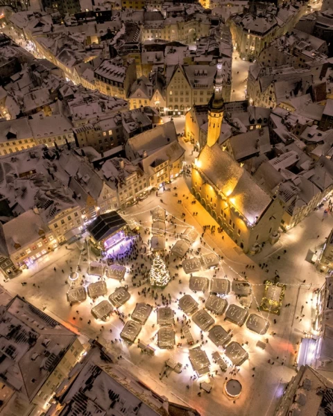 Stalls surround the Christmas tree in Tallinn’s Town Hall Square © Sixten Sepp - pics/2023/12/60710_001_t.webp