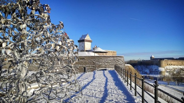 Talvine Narva Linnus. Foto: Olga Smirnova - pics/2024/01/60746_001_t.jpg