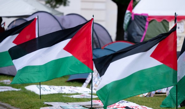 Palestiina lipud Saksa telklaagris. FOTO: SVEN HOPPE - pics/2024/05/61024_001_t.jpg